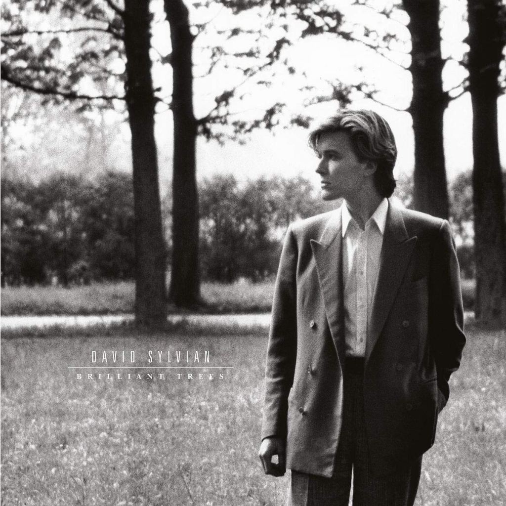 Quatro álbuns clássicos de David Sylvian regressam em&nbsp;vinil
