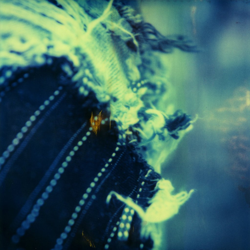 Somfay “A Catch in the Voice”&nbsp;(2009)