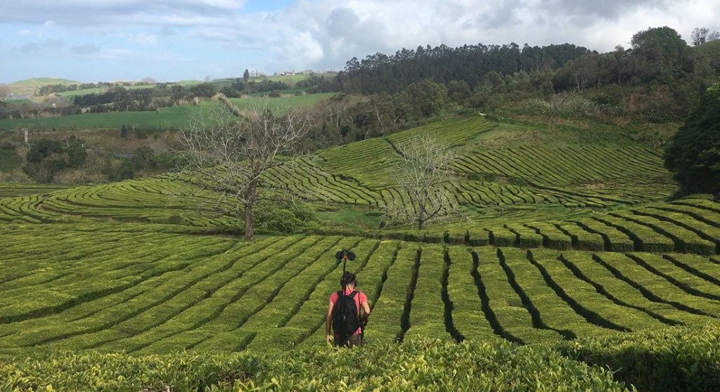 Uma viagem feita de olhares em descoberta da nossa relação com o&nbsp;som