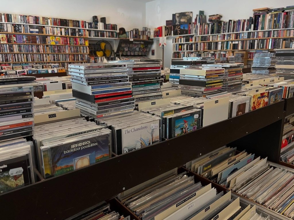 Schmocki’s Ohrwurm Oase&nbsp;(Basileia)